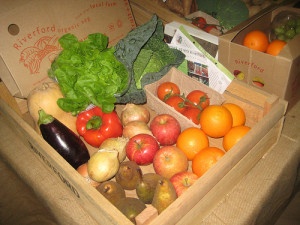 Organic vegetable Boxes